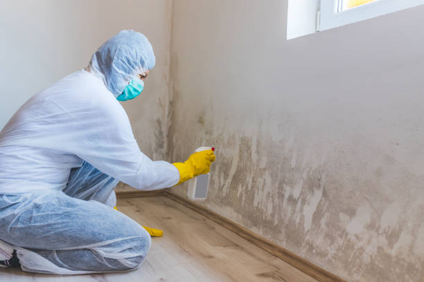 Best Emergency Mold Remediation  in Morris, OK