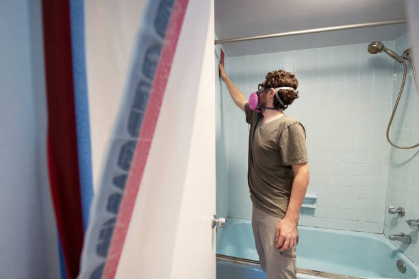 Best Mold Remediation for Vacation Homes  in Morris, OK