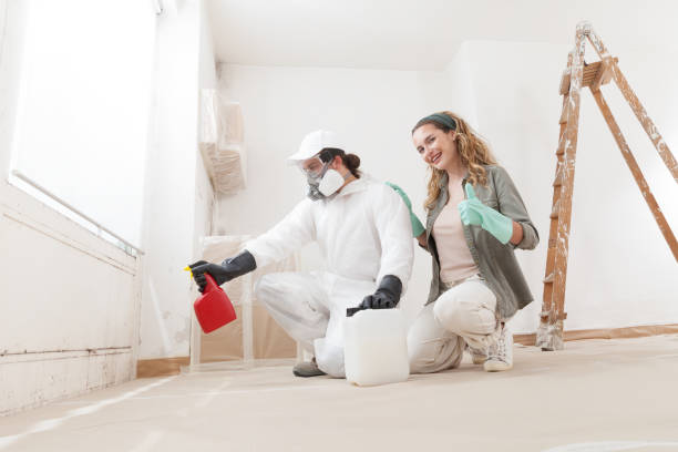 Professional Mold Removal in Morris, OK