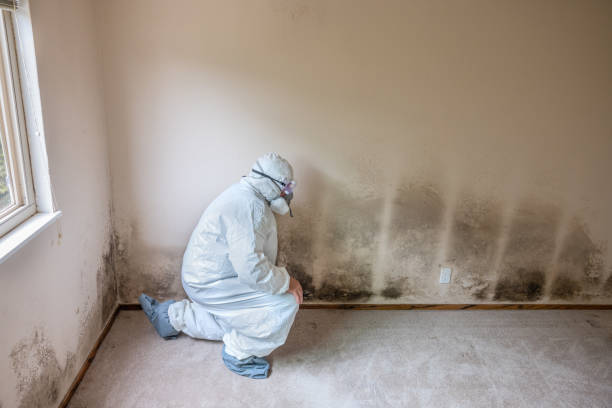 Best Residential Mold Inspection & Testing  in Morris, OK